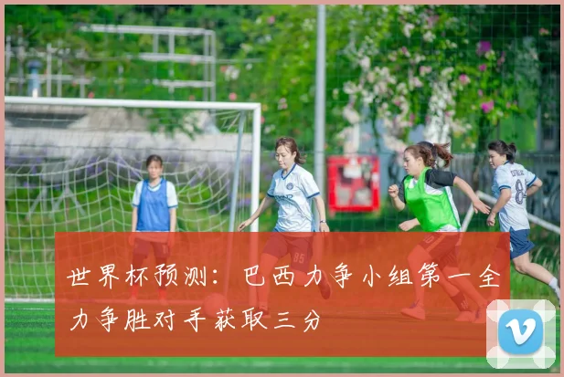 世界杯预测：巴西力争小组第一全力争胜对手获取三分